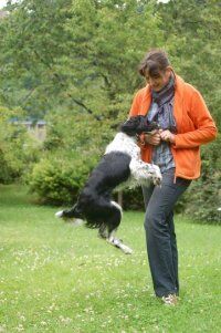 Mit 13 Jahren springt sie immer noch so hoch wie mit zwei - und sie sollte es schon damals nicht tun … Hund Paquita springt vor mir hoch …